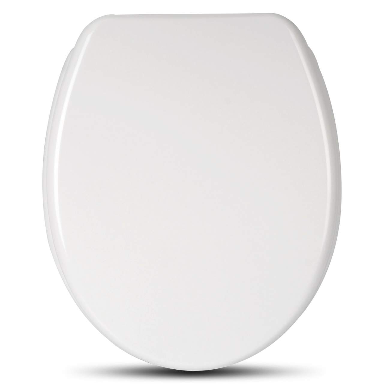 toilet seat without hinges